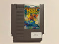 NES - The Adventures of Bayou Billy