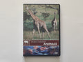 DVD - World's Biggest Animals