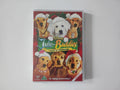 DVD - Jule-Buddies: Jagten På Julehunden